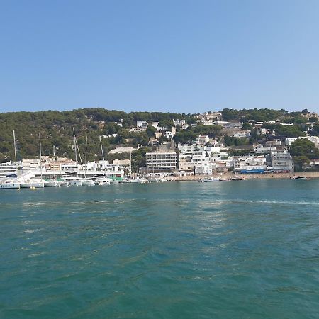 Apartament Blau Park Ii, L'Estartit Dış mekan fotoğraf