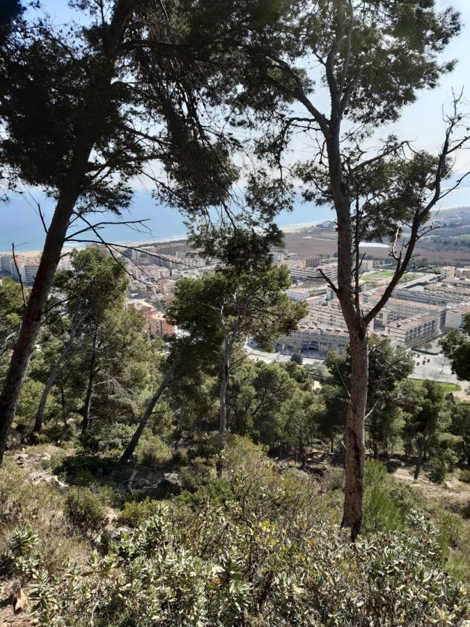 Apartament Blau Park Ii, L'Estartit Dış mekan fotoğraf